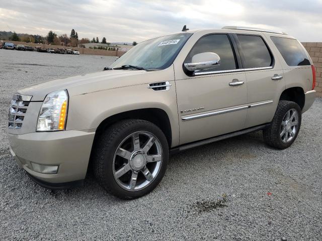 CADILLAC ESCALADE 2008 with VIN 1GYEC63838R160750 - Photo from auction