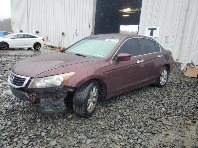 HONDA ACCORD EXL 2010 with VIN 5KBCP3F89AB017004 - Photo from auction