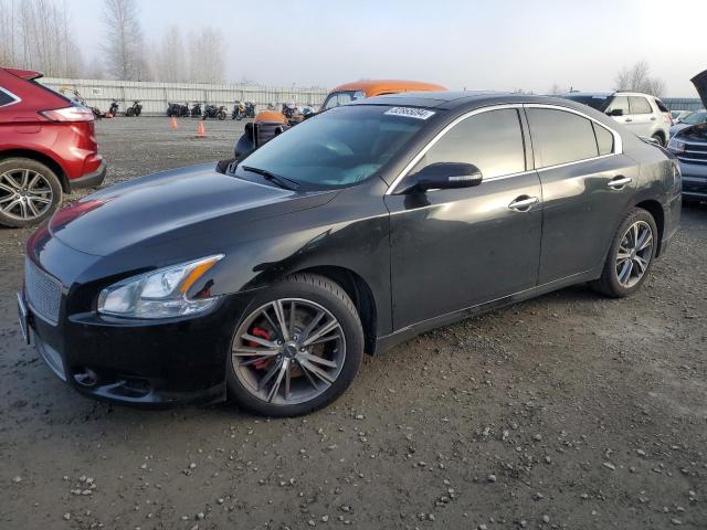 NISSAN MAXIMA S 2013 with VIN 1N4AA5AP7DC810102 - Photo from auction