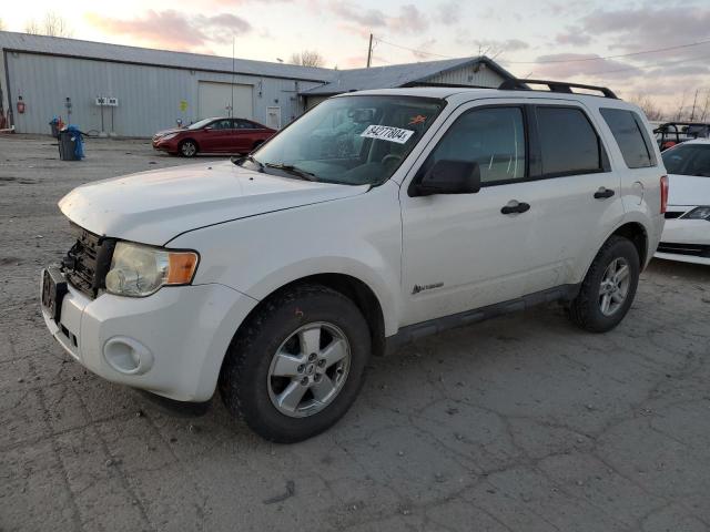 FORD ESCAPE HYB 2009 with VIN 1FMCU49329KB25519 - Photo from auction