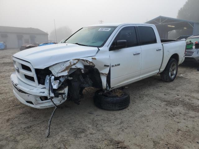 DODGE RAM 1500 2010 with VIN 1D7RV1CT7AS154902 - Photo from auction