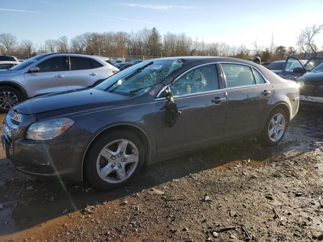 CHEVROLET MALIBU LS 2011 with VIN 1G1ZB5E11BF135853 - Photo from auction