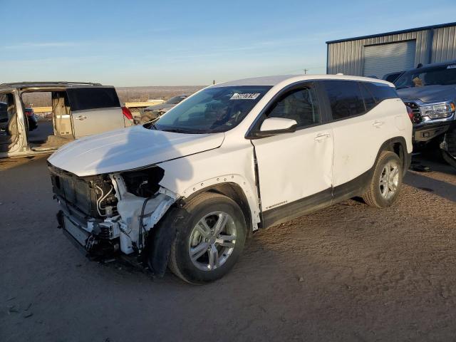 GMC TERRAIN SL 2024 with VIN 3GKALTEG3RL349046 - Photo from auction