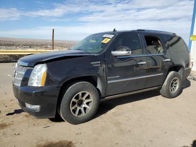 CADILLAC ESCALADE L 2012 with VIN 1GYS4BEF6CR215219 - Photo from auction