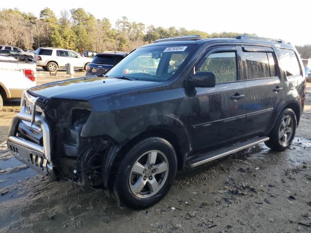 HONDA PILOT EXL 2009 with VIN 5FNYF48639B034885 - Photo from auction