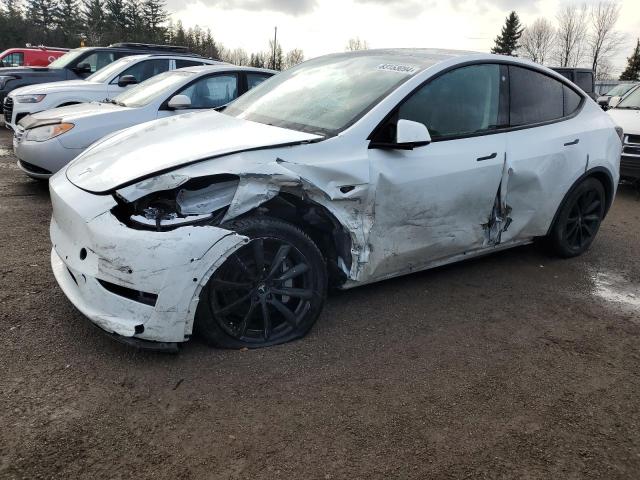 TESLA MODEL Y 2022 with VIN 7SAYGDEE7NF450895 - Photo from auction