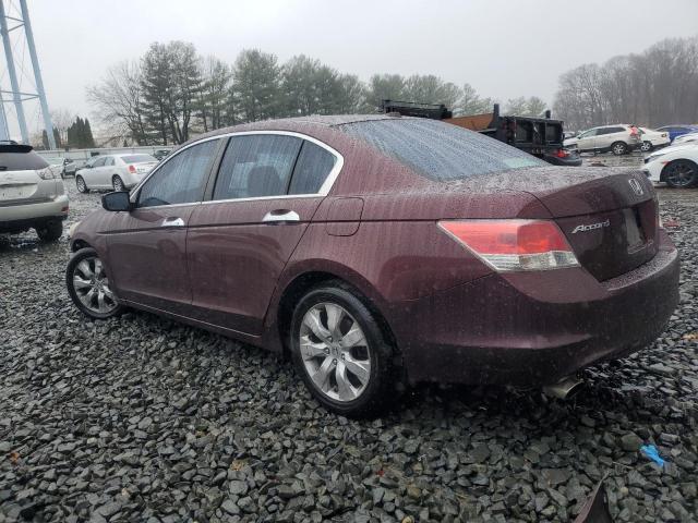 Photo 2 from auction – 2010 HONDA ACCORD EXL with VIN 5KBCP3F89AB017004