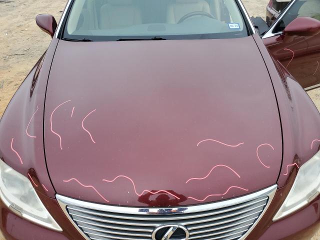 Photo 11 from auction – 2008 LEXUS LS 460 with VIN JTHBL46F385052626