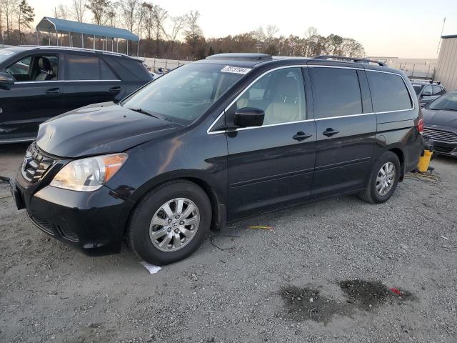 HONDA ODYSSEY EX 2009 with VIN 5FNRL38629B059803 - Photo from auction