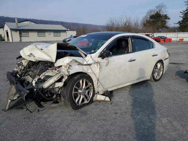 NISSAN MAXIMA S 2010 with VIN 1N4AA5AP0AC840568 - Photo from auction