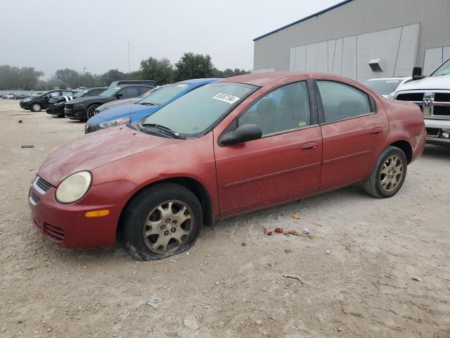 DODGE NEON SXT 2005 with VIN 1B3ES56C05D147256 - Photo from auction