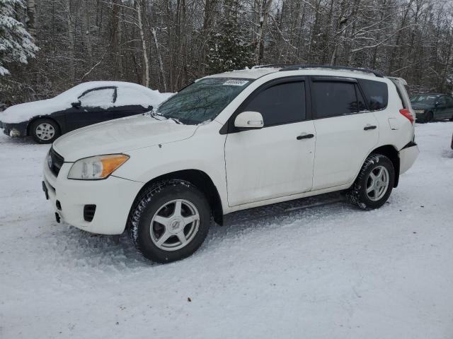 TOYOTA RAV4 2012 with VIN 2T3BF4DV5CW192407 - Photo from auction