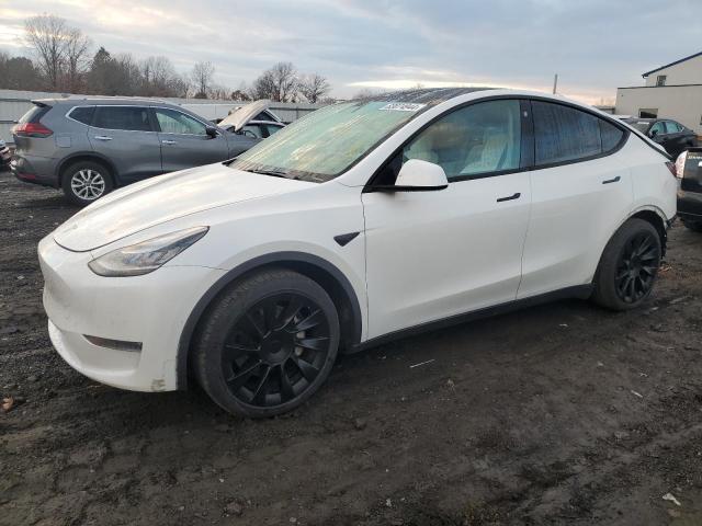 TESLA MODEL Y 2021 with VIN 5YJYGDEE5MF075066 - Photo from auction