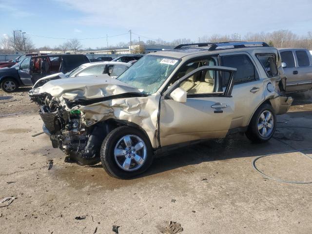 FORD ESCAPE LIM 2011 with VIN 1FMCU0EG2BKC21559 - Photo from auction