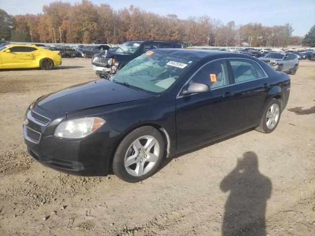 CHEVROLET MALIBU LS 2010 with VIN 1G1ZB5EB6AF309651 - Photo from auction