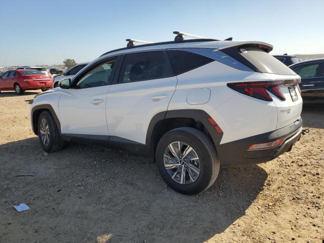Photo 2 from auction – 2024 HYUNDAI TUCSON BLU with VIN KM8JBCD10RU211719