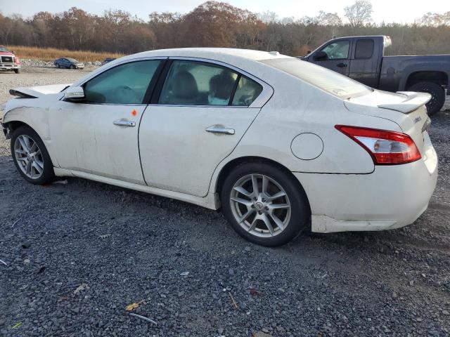 Photo 2 from auction – 2010 NISSAN MAXIMA S with VIN 1N4AA5AP8AC857716