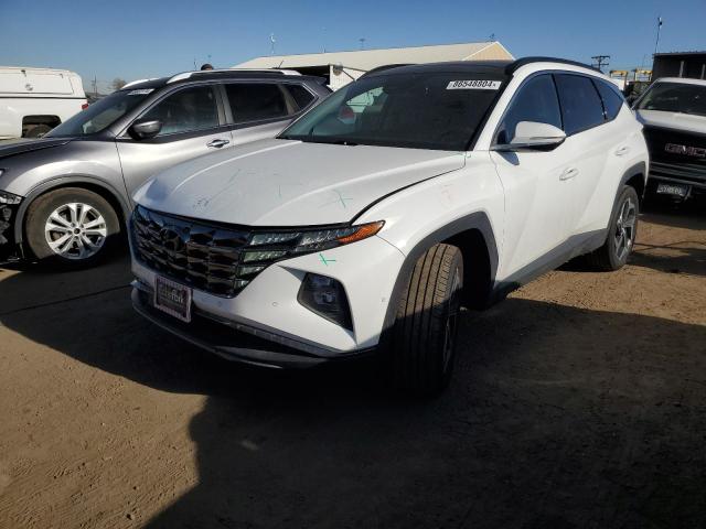 HYUNDAI TUCSON LIM 2023 with VIN 5NMJECAE9PH211130 - Photo from auction