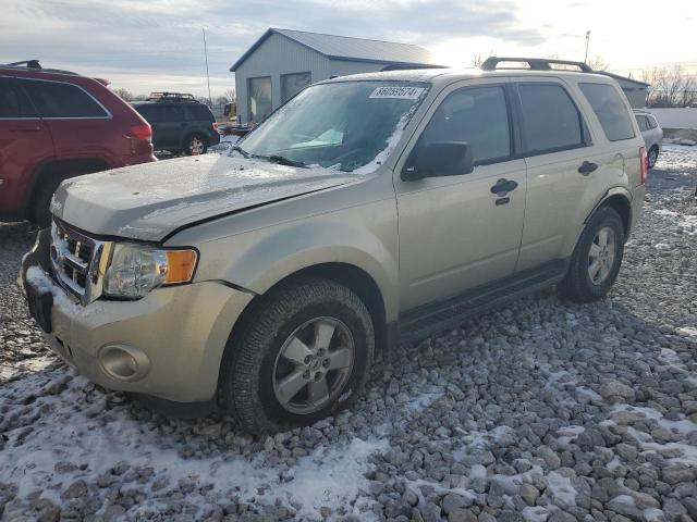 FORD ESCAPE XLT 2010 with VIN 1FMCU0D72AKB28816 - Photo from auction