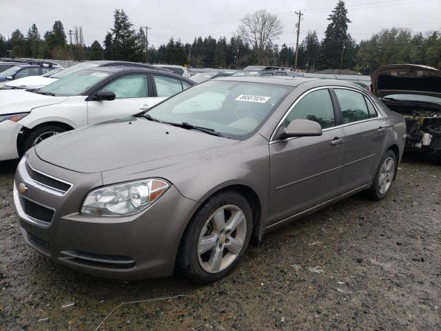Photo 1 from auction – 2010 CHEVROLET MALIBU 2LT with VIN 1G1ZD5EB6A4150748