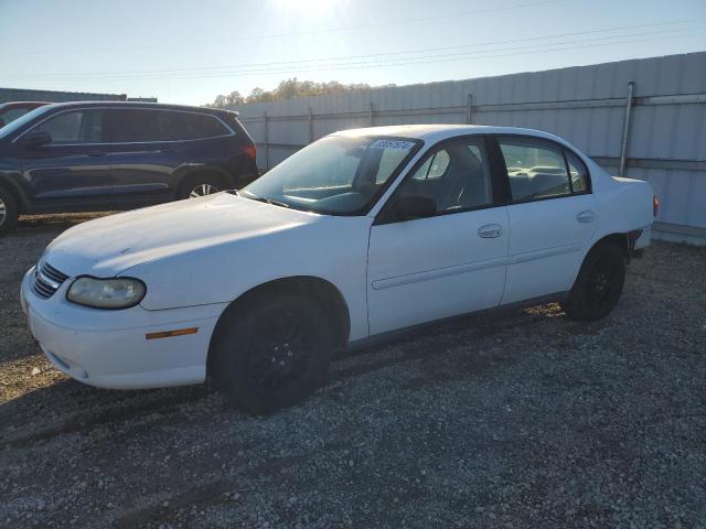 CHEVROLET MALIBU 2002 with VIN 1G1ND52J32M650653 - Photo from auction
