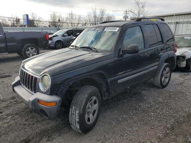 JEEP LIBERTY SP 2002 with VIN 1J4GL48K02W208702 - Photo from auction