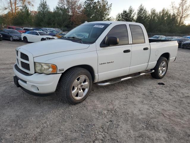 DODGE RAM 1500 S 2003 with VIN 1D7HA18D03J671394 - Photo from auction