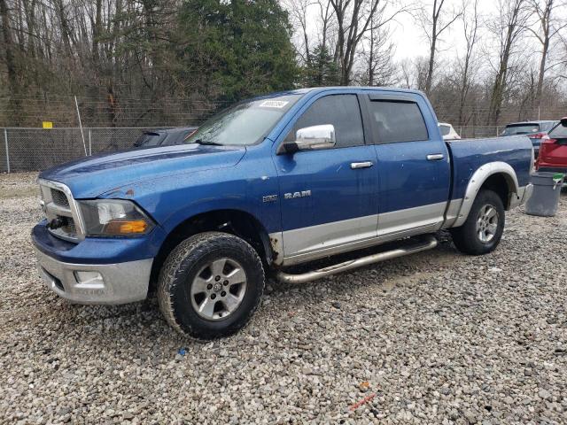 DODGE RAM 1500 2009 with VIN 1D3HV13T39S704900 - Photo from auction