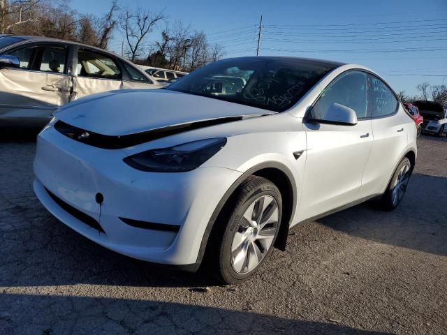 TESLA MODEL Y 2024 with VIN 7SAYGDEE7RA234788 - Photo from auction