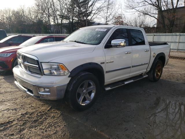 DODGE RAM 1500 2009 with VIN 1D3HV13T09S770840 - Photo from auction
