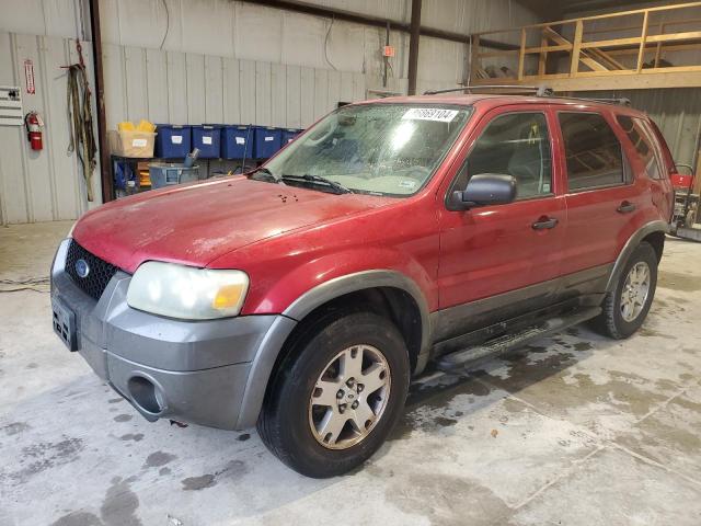 FORD ESCAPE XLT 2005 with VIN 1FMCU03135KA23849 - Photo from auction