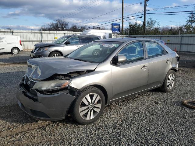 KIA FORTE EX 2013 with VIN KNAFU4A25D5662930 - Photo from auction
