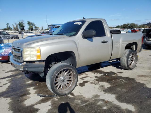CHEVROLET SILVERADO 2009 with VIN 1GCEC14X79Z225924 - Photo from auction