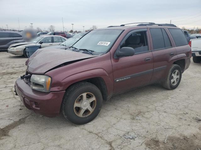 CHEVROLET TRAILBLAZE 2004 with VIN 1GNDS13S142449364 - Photo from auction