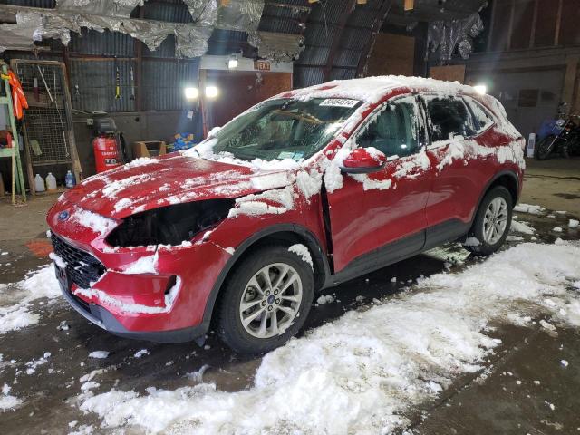 FORD ESCAPE SE 2020 with VIN 1FMCU9G67LUC53809 - Photo from auction