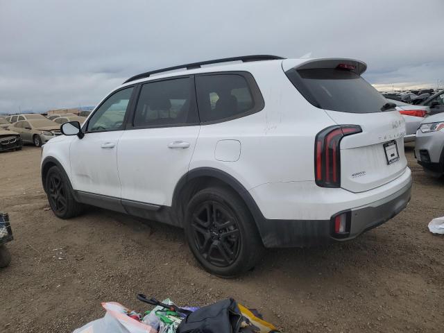 Photo 2 from auction – 2023 KIA TELLURIDE with VIN 5XYP5DGC1PG329916