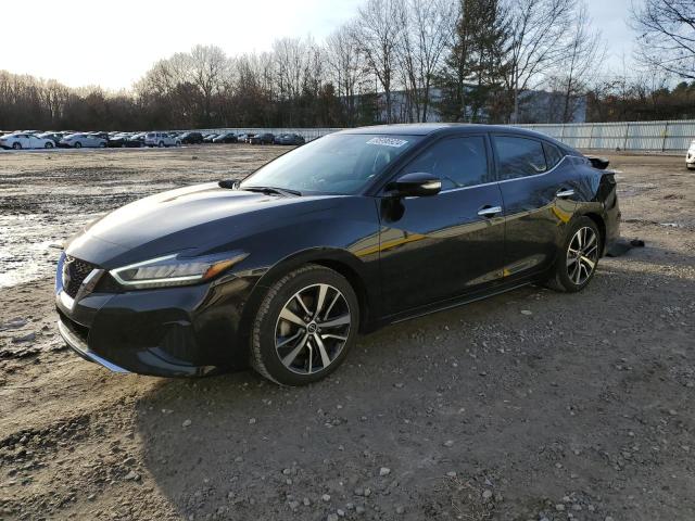 NISSAN MAXIMA SV 2023 with VIN 1N4AA6CV8PC506962 - Photo from auction