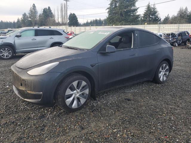TESLA MODEL Y 2024 with VIN 7SAYGDEE0RF014038 - Photo from auction