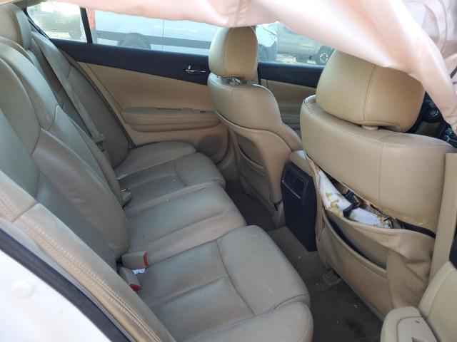 Photo 10 from auction – 2010 NISSAN MAXIMA S with VIN 1N4AA5AP9AC812672