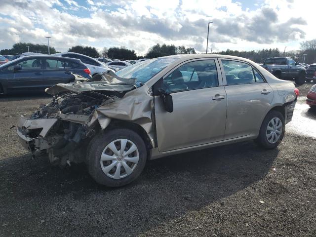 TOYOTA COROLLA BA 2010 with VIN 2T1BU4EE0AC495624 - Photo from auction