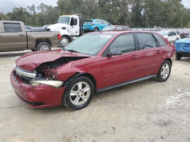 CHEVROLET MALIBU MAX 2005 with VIN 1G1ZT64895F324031 - Photo from auction