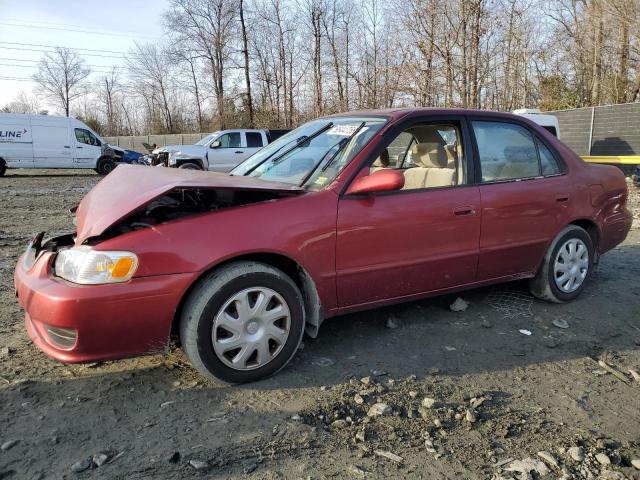 TOYOTA COROLLA CE 2001 with VIN 2T1BR12E61C506050 - Photo from auction