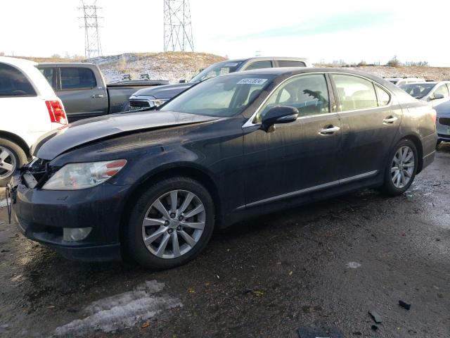 LEXUS LS 460 2010 with VIN JTHCL5EF1A5006729 - Photo from auction