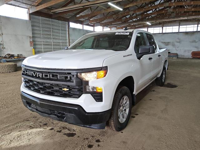 CHEVROLET SILVERADO 2024 with VIN 2GCUDAED1R1255345 - Photo from auction