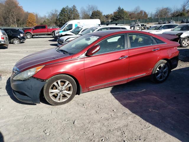 HYUNDAI SONATA SE 2011 with VIN 5NPEC4AC7BH116492 - Photo from auction