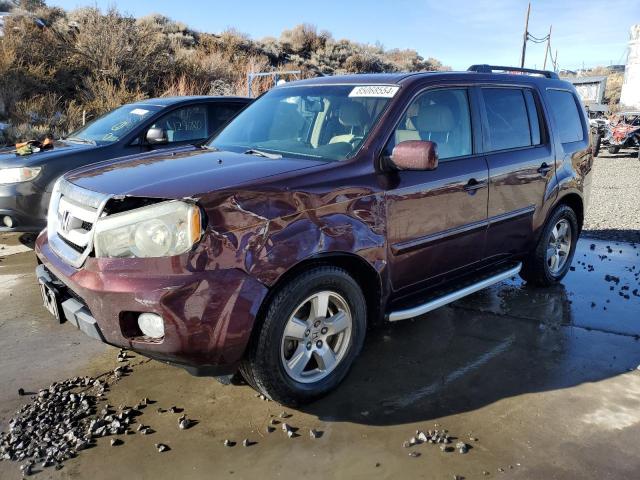 HONDA PILOT EXL 2009 with VIN 5FNYF48539B036076 - Photo from auction