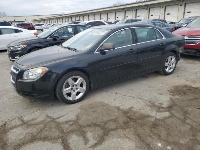 CHEVROLET MALIBU LS 2012 with VIN 1G1ZA5EU1CF304834 - Photo from auction