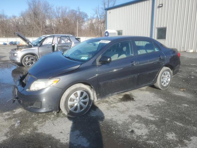 TOYOTA COROLLA BA 2010 with VIN 2T1BU4EE7AC225015 - Photo from auction