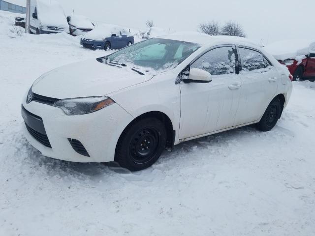 TOYOTA COROLLA L 2016 with VIN 2T1BURHE7GC610480 - Photo from auction