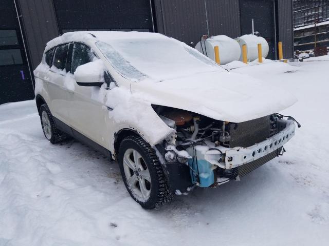 Photo 4 from auction – 2013 FORD ESCAPE SE with VIN 1FMCU9G95DUD05367